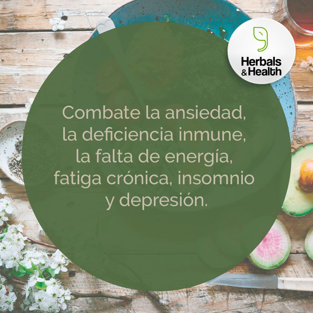 Ashwagandha Herbals & Health Cápsulas Veganas