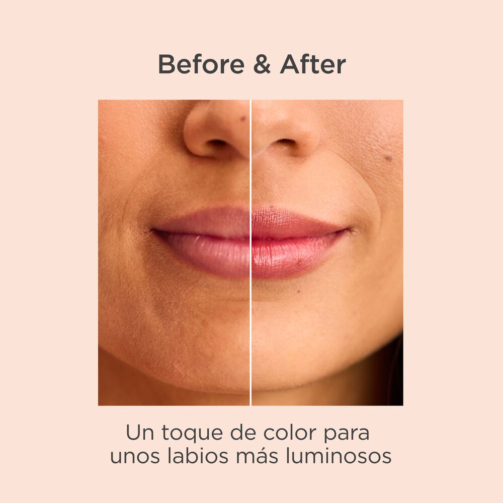 Isdin Reparador Labial Color Granate Isdin Reparador Labial Color Granate